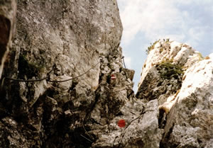 Trail at Berchtesgaden, Germany.