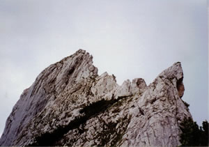 View from trail at Berchtesgaden, Germany.