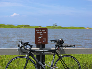Ted’s rental bike at Kealia Pond national wildlife refuge on Maui, Hawaii.