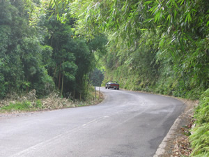 Andrea in her car driving down the Hana Highway.