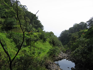 Stream pond for swimming near Hana, Maui, Hawaii.