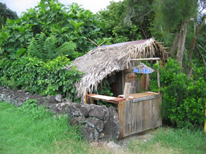 Vacant fruit stand near Hana, Maui, Hawaii.