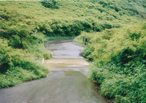 Water flooding over the road bridge during the the Jim Stuart Memorial bike ride in Maui, Hawaii.  Ted believes this is the bridge where he fell and slightly hurt his back, his back became better without intervention.