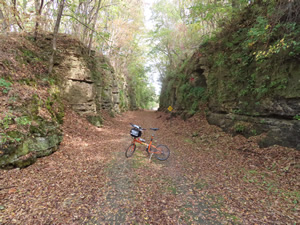 Ted’s bike on the Jane Addams trail in Illinois.
