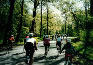 Image from “Detroit Receiving- Wolverines 200” bike ride.