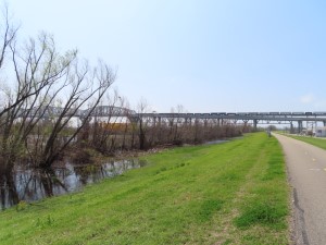 Huey Long Bridge (highway 90) crossing the Mississippi River west of Audubon Park in New Orleans seen from Mississippi River trail.