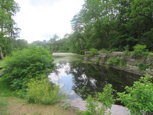 View from Mohawk-Hudson bike trail, New York