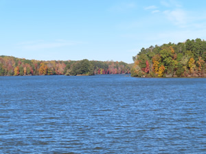 Lake next to Atlantic & Yadkin Greenway trail.
