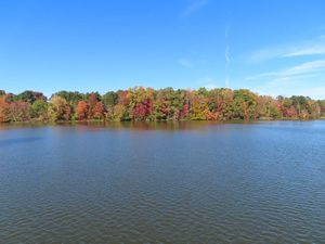 Lake next to Atlantic & Yadkin Greenway trail.