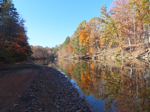 Pond at Lake Normal State Park, NC.