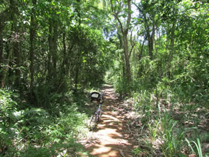 Cambalache, Puerto Rico.