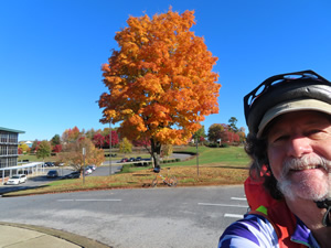 Ted near school off Laurens Rd Bypass route.