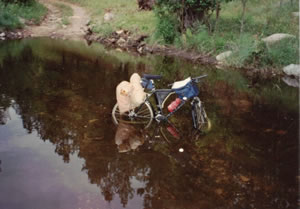 Stream crossing French creek near Custer State Park, South Dakota