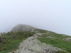 Hiking the Long Trail towards the top of the Gondola at Stowe ski area.  Taken on Ted’s way down from the summit of Mount Mansfield in Vermont.