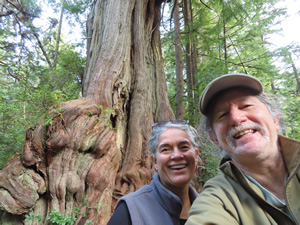 Ted and Marty near trees seen on big Cedar Tree trail at Kalaloch.