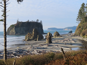 Ruby beach Washington State