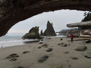 Marty walking on Rialto beach.