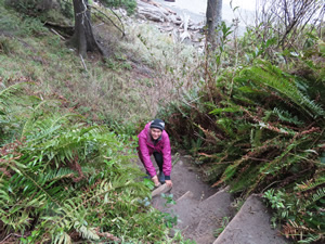 Marty hiking down trial to “Hole-In-The-Rock” at Rialto beach.