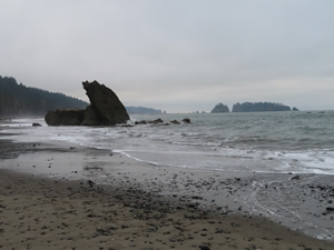 Rialto beach.
