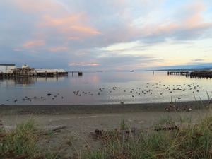 Port Angeles.