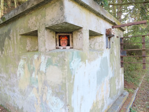 Ted hiding in bunker at Fort Worden Historic area.