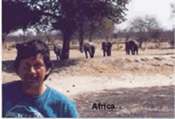 Photo per Continent