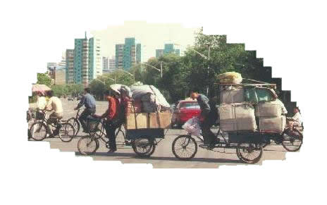 Bikes in China