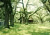 Mayo, Florida town park