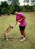 Ted feeding Kangaroo at Billabong Sanctuary