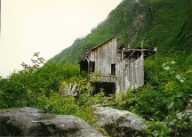 This stamping Mill is at the end of Mineral creek road. This Mill was used to crush rocks for a gold mine in 1908. This was not a publicized tourist attraction. It was just a place that Ted accidentally tumbled across.