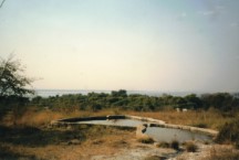 The hot springs at the above motel,