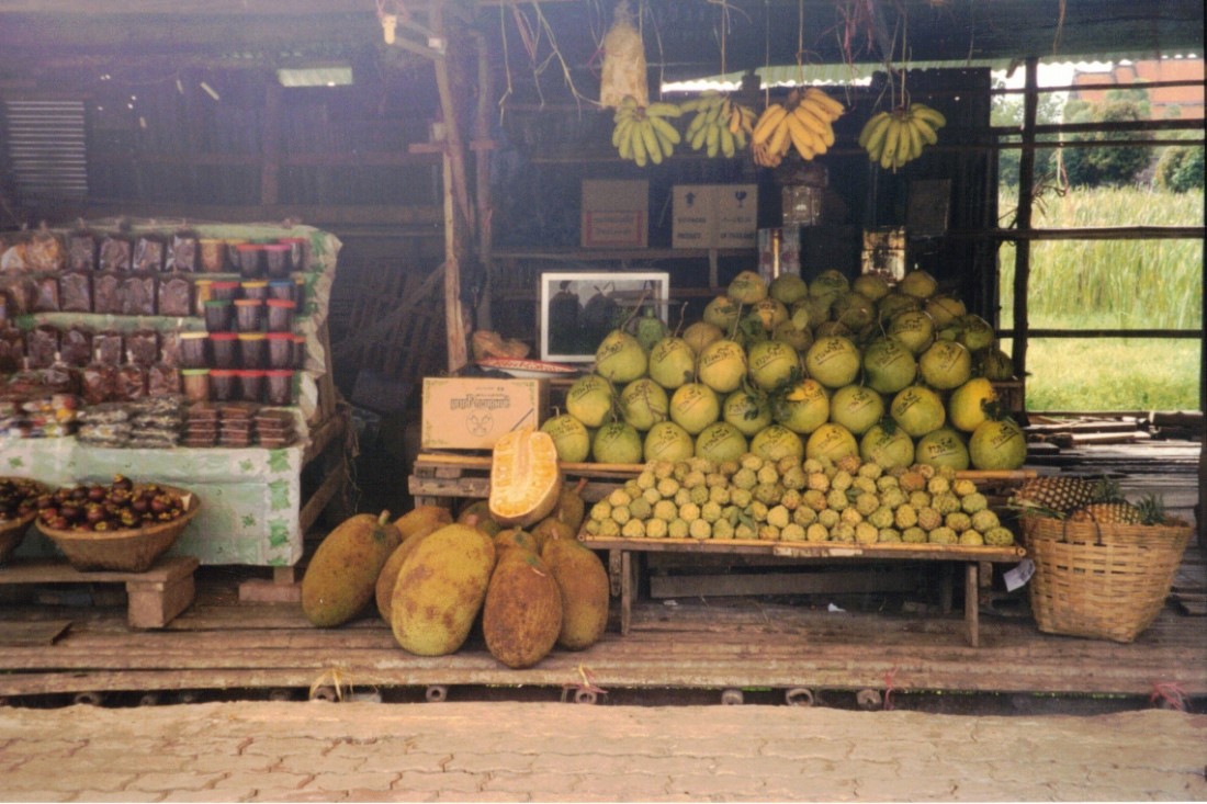 A fruit stand a little north of Bangkok, Thailand.