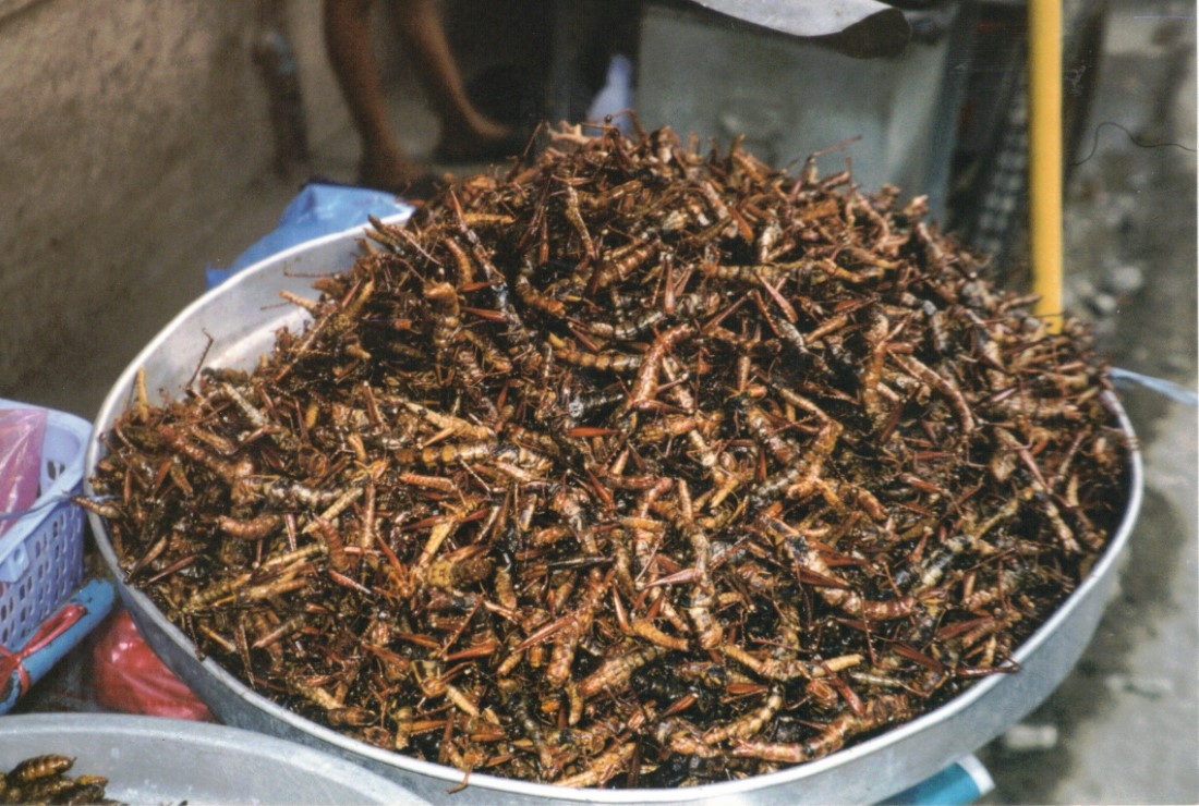 Grasshoppers ready to eat in Bangkok, Thailand.