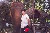 Ted with an elephant between Pak Chong and the Khoa Yai National Park.