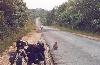 My bike and monkeys in the road at Khoa Yai National Park.