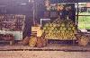 A fruit stand a little north of Bangkok, Thailand.
