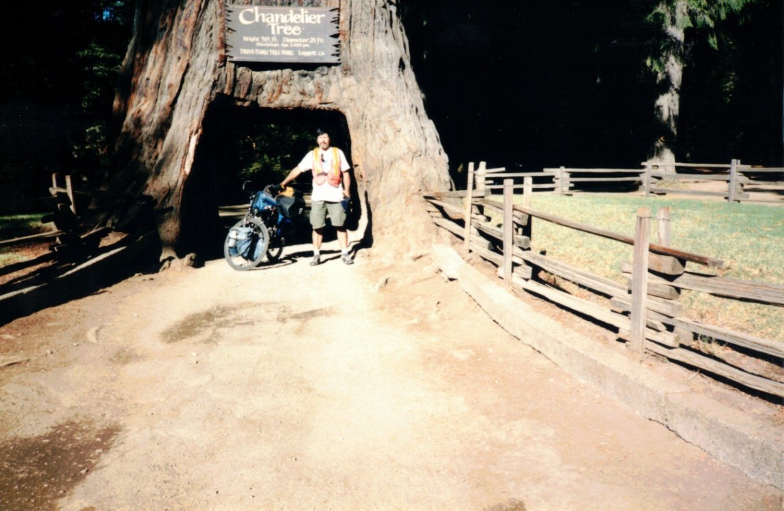 Ted with his bike at Chandelier Drive through tree.
