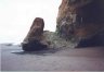 The old beach side highway near Oswald State Park, Oregon.