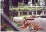 Animal Park off highway 101 in Southern Oregon.