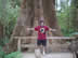 Big Tree