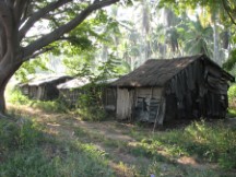 Homes near Highway 200