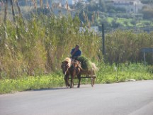 Man smoking a cigarette on a hay wagon.