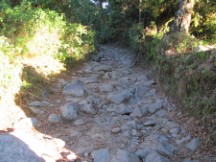Volcano Baru Trail near Boquete, Panama