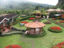 House Garden in Boquete, Panama