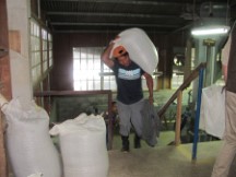Coffee Plantation tour near Boquete, Panama 