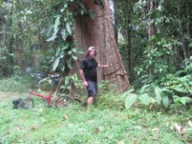 Near Dante Corcovode Lodge, Costa Rica