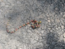 Near La Palma, Costa Rica