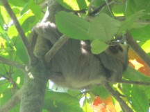 Manuel Antonio National Park, Costa Rica