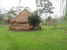 Village near Futuna Falls near Volcona Arenal