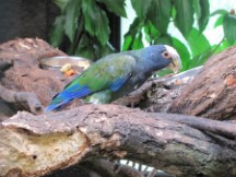 La Paz Waterfall Garden, Costa Rica